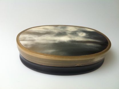 Oval shaped 1870 horn snuff box
